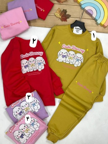 ست بلوز و شلوار کد 20434