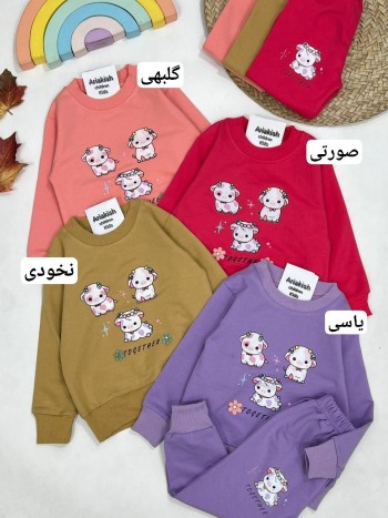 ست بلوز و شلوار کد 20428